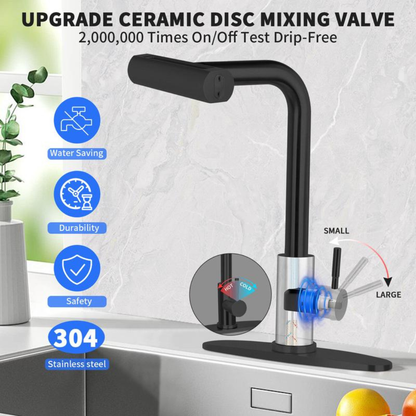 Kitchen Faucet with 4 Modes with Pull Down Sprayer