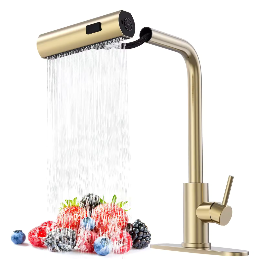 Kitchen Faucet with 4 Modes with Pull Down Sprayer